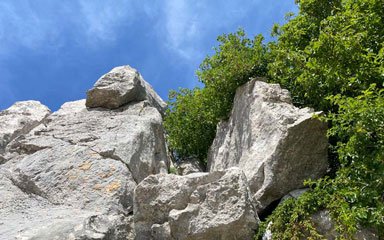 Die Bilder im Stein (Jasenice, Kroatien)