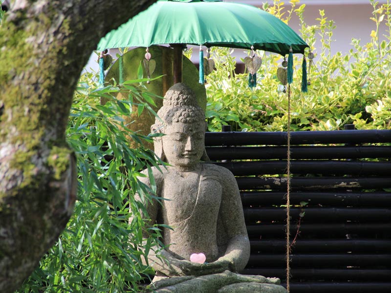 gal 03 buddha im gruenen